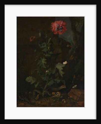 Still Life with Poppy, Insects, and Reptiles, ca. 1670 by Otto Marseus van Schrieck