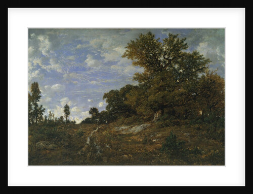 The Edge of the Woods at Monts-Girard, Fontainebleau Forest, 1852-54 by Theodore Rousseau