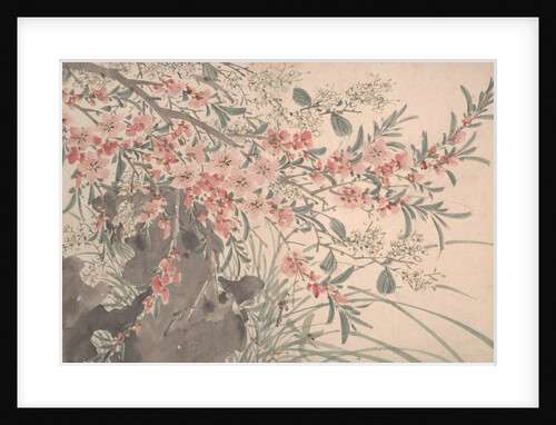 Garden Flowers, dated 1540 by Unknown