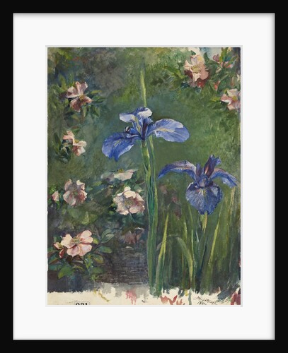 Wild Roses and Irises, 1887 by John La Farge