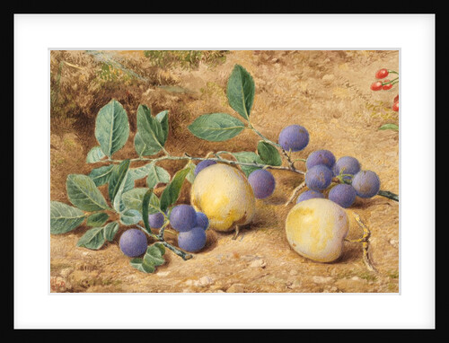 Plums, 1870 by John William Hill