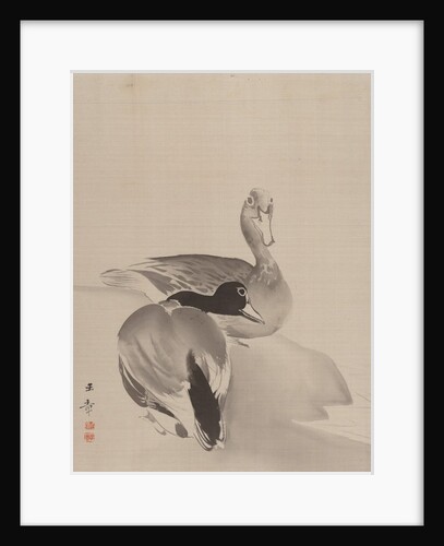 Pair of Ducks, 1887-92 by Gyokusho Kawabata