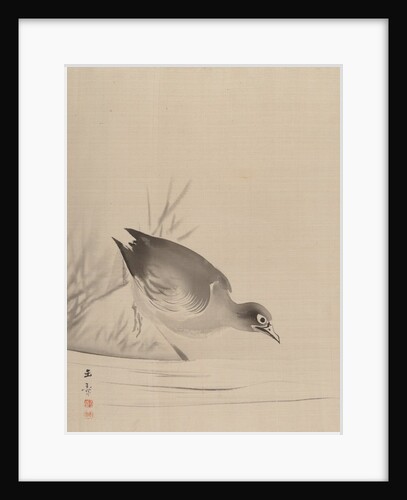 Bird at the Water's Edge, 1887-92 by Gyokusho Kawabata