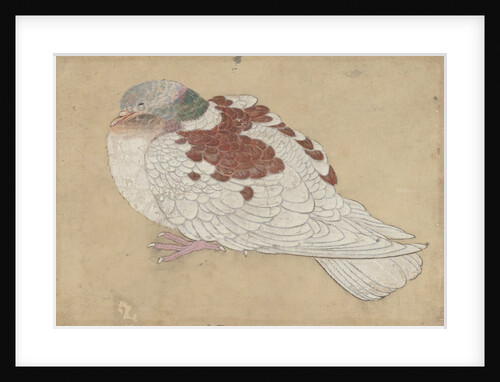 Bird, 18th century by Unknown
