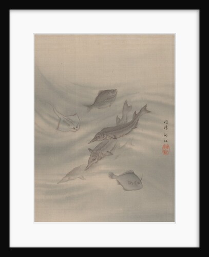 Fishes, ca. 1890-92 by Seki Shuko