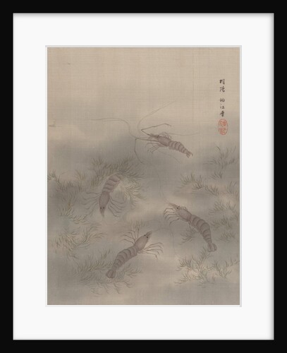 Shrimp, ca. 1890-92 by Seki Shuko