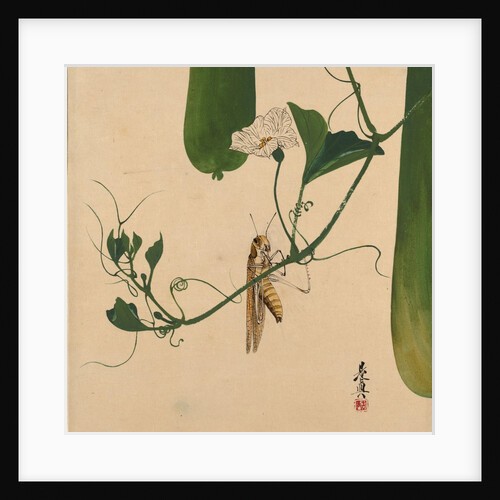 Lacquer Paintings of Various Subjects: Grasshopper on Gourd Vine, 1882 by Shibata Zeshin