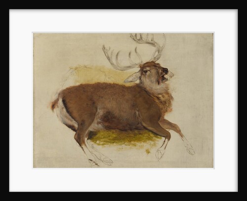Dying Stag, ca. 1830 by Edwin Henry Landseer
