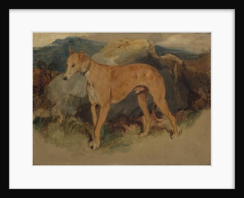A Deerhound, 1826 by Edwin Henry Landseer