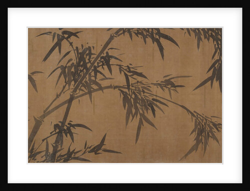 Bamboos by Unknown