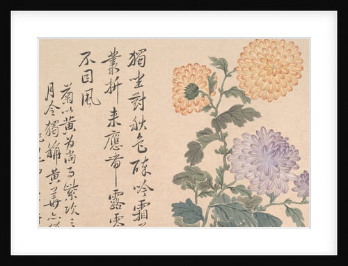 Chrysanthemums by Unknown