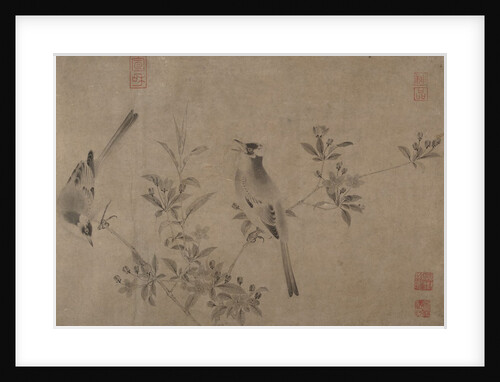Chinese Bulbuls on Flowering Cherry-Apple by Unknown