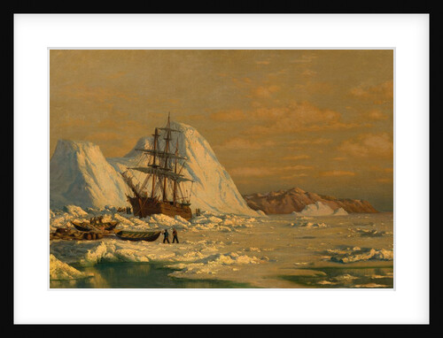 An Incident of Whaling by William Bradford