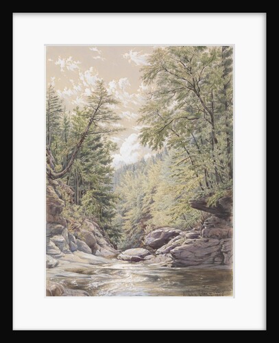 Catskill Clove in Palingsville, 1856 by William Rickarby Miller