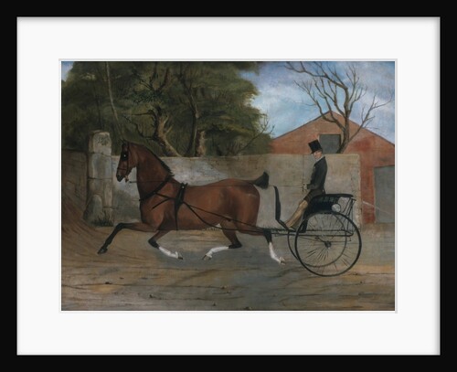 Portrait of a Gentleman in a Carriage, ca. 1850-60 by Unknown