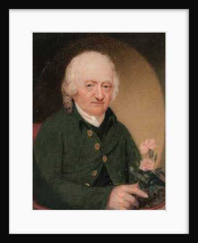 Portrait of a Gentleman, ca. 1810-15 by Unknown