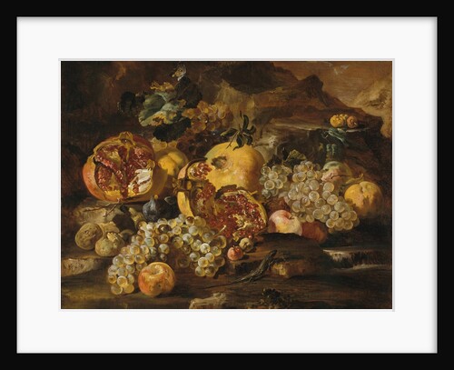 Pomegranates and Other Fruit in a Landscape by Abraham Brueghel