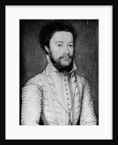 Portrait of a Bearded Man in White by Corneille de Lyon