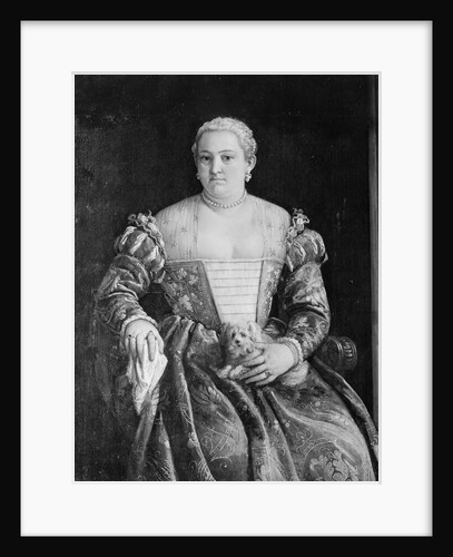 Portrait of a Woman by Francesco Montemezzano