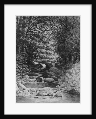 A Forest Cascade at Hiram, Maine, 1859 by Henry Hitchings