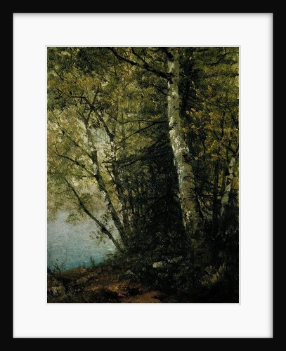 Study of Beeches, 1872 by John Frederick Kensett