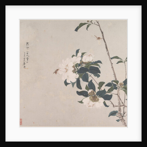 Insects and Flowers by Ju Lian