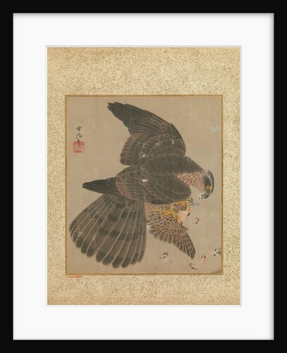 Album of Hawks and Calligraphy, 17th-18th century by Kanô Yôboku Tsunenobu