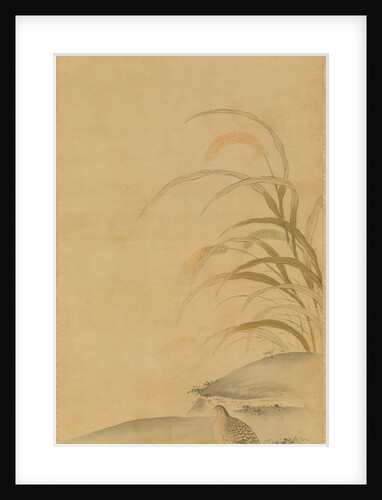 Quail and Millet, late 17th century by Kiyohara Yukinobu