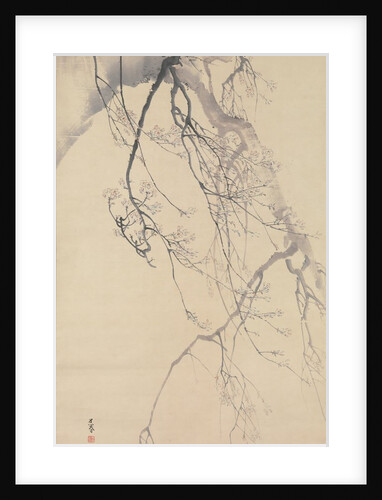 Cherry Blossoms, 18th century by Go Shun