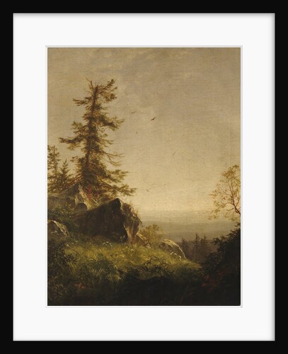 Morning on the Mountain, 1856 by Richard William Hubbard