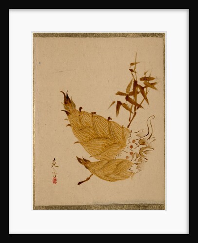 Bamboo Shoots, ca. 1880s by Shibata Zeshin
