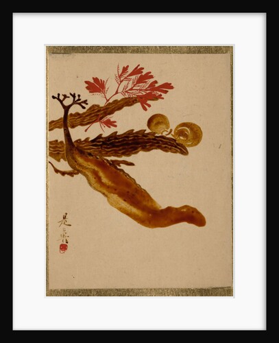 Seaweed by Shibata Zeshin