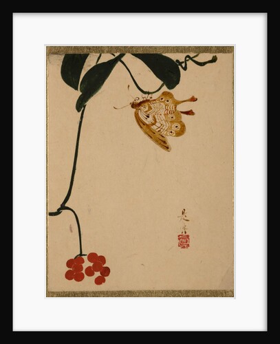 Red Berry Plant and Butterfly by Shibata Zeshin