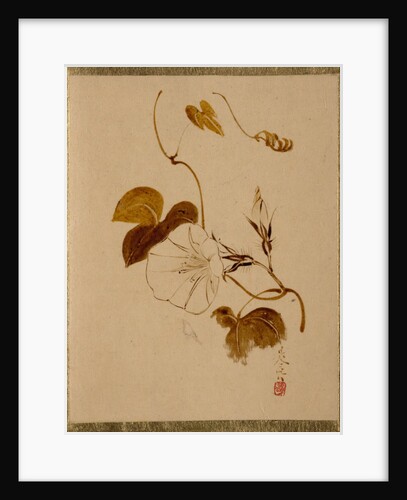 Morning Glory by Shibata Zeshin