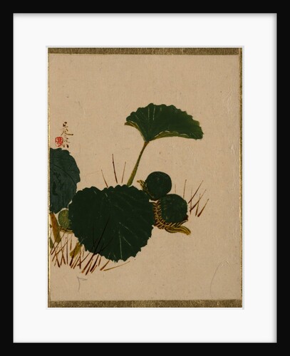 Worm on Green Leaved Plant by Shibata Zeshin
