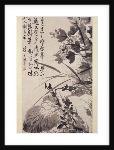Hibiscus, Lotus, and Rock, ca. 1705-7 by Shitao