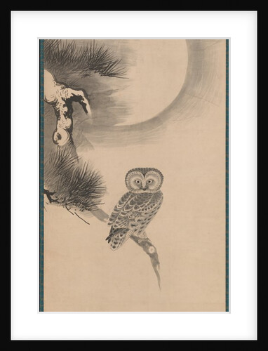 Owl on a Pine Branch, early 17th century by Soga Nichokuan