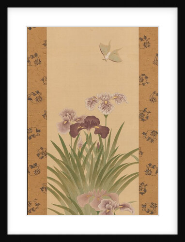 Irises and Moth, ca. 1850 by Suzuki Kiitsu