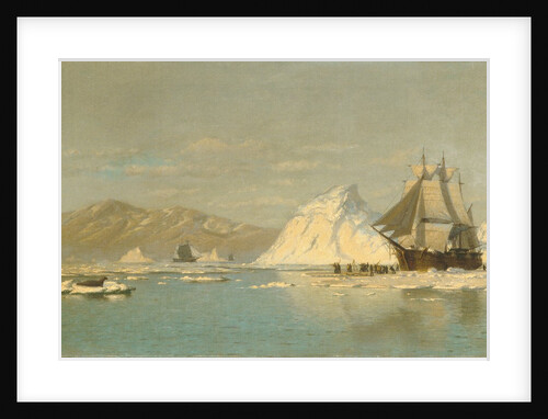 Off Greenland?Whaler Seeking Open Water by William Bradford