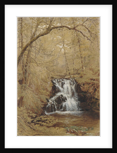 Indian Falls, Indian Brook, Cold Springs, New York, 1850 by William Rickarby Miller