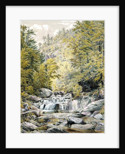 Catskill Clove, 1856 by William Rickarby Miller