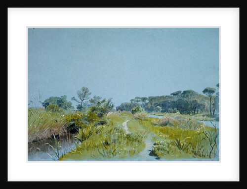 Castel Fusano?Near Rome, ca. 1885 by William Stanley Haseltine