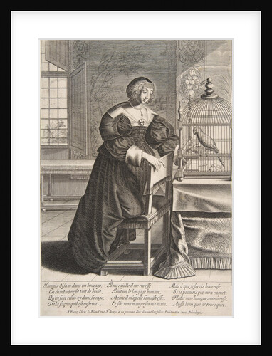 The Parrot, 1620-76 by Abraham Bosse