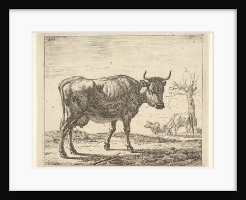 Three Cows, from Different Animals by Adriaen van de Velde