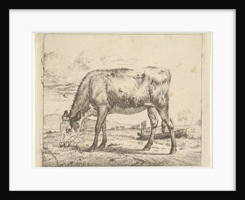 Grazing Calf, from Different Animals, 1658 by Adriaen van de Velde