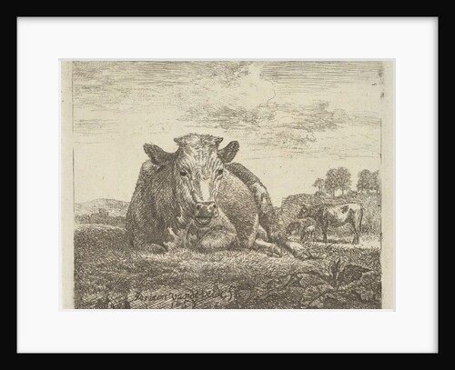 Recumbent Cow, from Different Animals, 1657 by Adriaen van de Velde