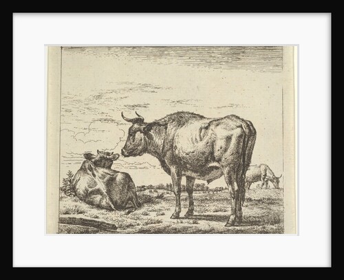 Standing Bull, from Different Animals by Adriaen van de Velde