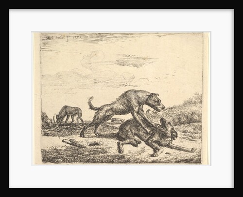 Fighting Dogs, from Different Animals, 1657 by Adriaen van de Velde