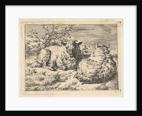 Two Recumbent Sheep, 1670 by Adriaen van de Velde