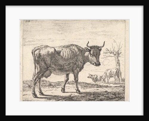 Three Cows by Adriaen van de Velde